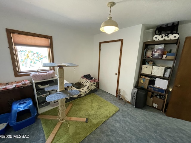 11985 N Cayce Ln, Casa Grande, AZ 85194 - view of carpeted home office