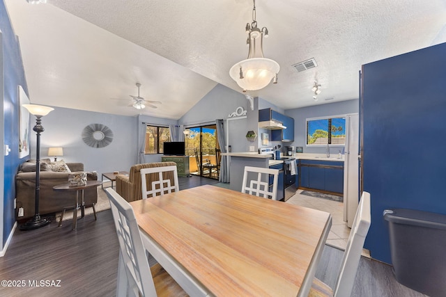 7612 E Callisto Cir Unit 60, Tucson, AZ 85715 - dining area featuring plenty of natural light, a ceiling fan, a textured ceiling, light wood-type flooring, and vaulted ceiling