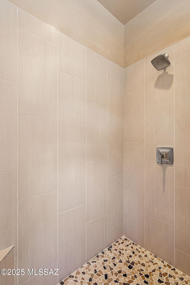 1920 W Canada Hills Dr, Oro Valley, AZ 85737 - full bathroom featuring a tile shower
