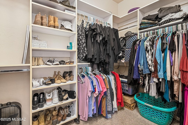 1920 W Canada Hills Dr, Oro Valley, AZ 85737 - spacious closet with carpet