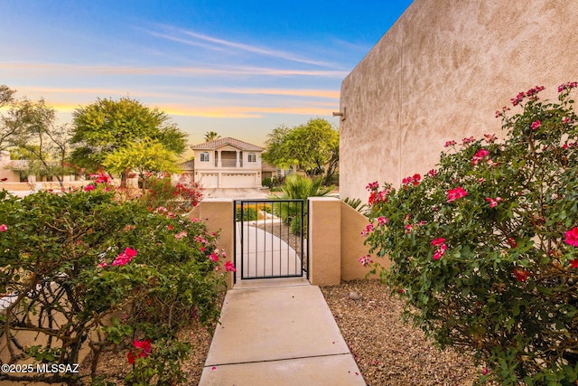 1920 W Canada Hills Dr, Oro Valley, AZ 85737 - view of gate