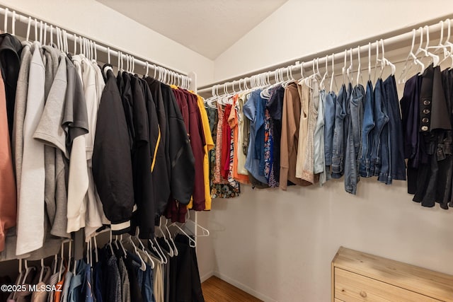 9141 E Bell Cactus Ln, Tucson, AZ 85715 - walk in closet featuring lofted ceiling and wood finished floors