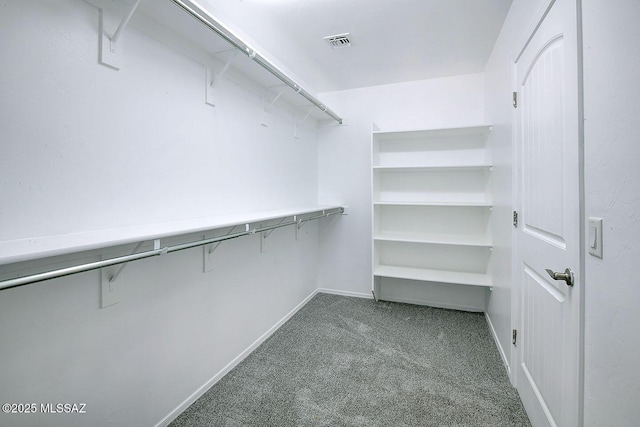 11710 W Boll Bloom Dr, Marana, AZ 85653 - walk in closet with carpet flooring