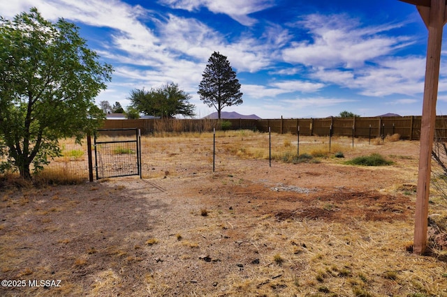 100 N Dale Rd, Pearce, AZ 85625 - view of yard featuring a gate and a mountain view