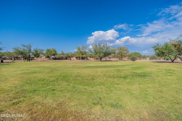 9701 N Camino Del Fierro, Tucson, AZ 85742 - view of grassy yard