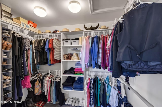 19 W Via Teresita, Sahuarita, AZ 85629 - walk in closet featuring attic access