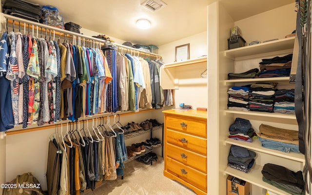 9387 S Via Famero, Vail, AZ 85641 - walk in closet featuring carpet floors