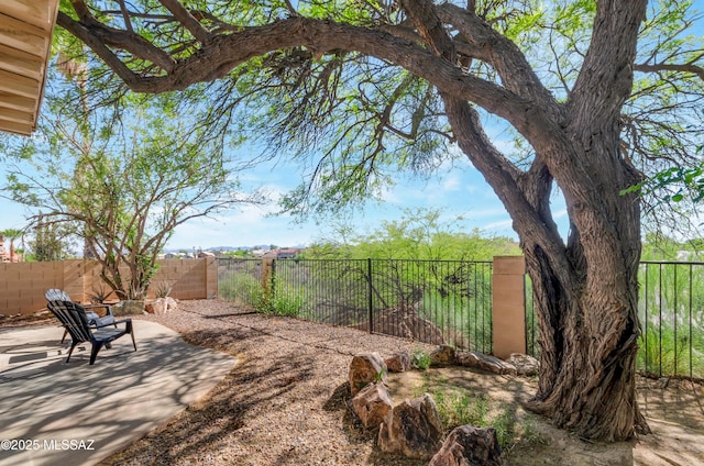 11561 N Eagle Peak Dr, Oro Valley, AZ 85737 - fenced backyard with a patio