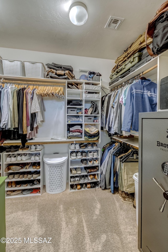 9978 N Niobrara Way, Tucson, AZ 85742 - walk in closet featuring carpet