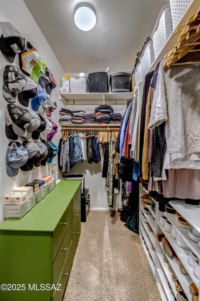 9978 N Niobrara Way, Tucson, AZ 85742 - spacious closet featuring carpet