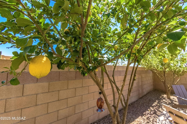 9978 N Niobrara Way, Tucson, AZ 85742 - exterior view of a fenced backyard