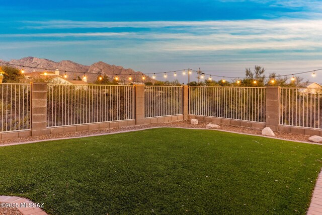11262 N Chynna Rose Pl, Oro Valley, AZ 85737 - view of yard