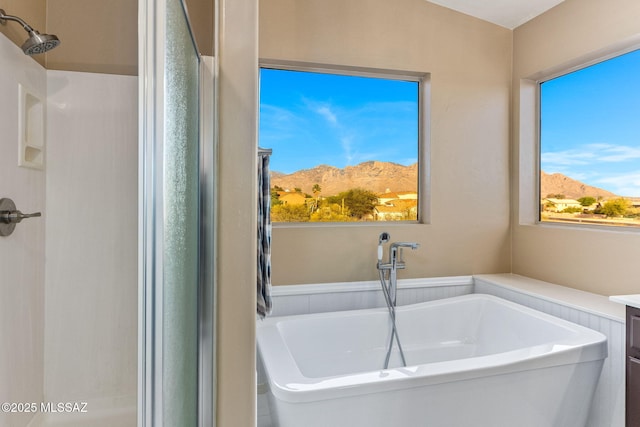 11262 N Chynna Rose Pl, Oro Valley, AZ 85737 - bathroom with a stall shower, a freestanding tub, vanity, and a mountain view