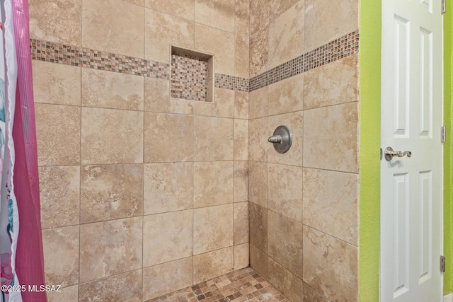 2113 N Belvedere Ave, Tucson, AZ 85712 - full bathroom with a tile shower