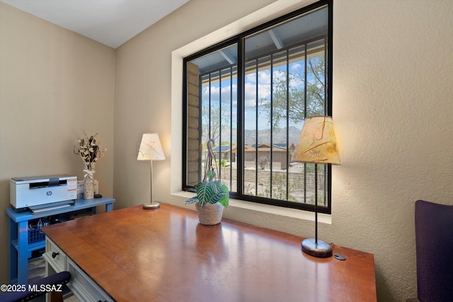 7302 E Rocky Creek Pl, Tucson, AZ 85750 - home office featuring a textured wall