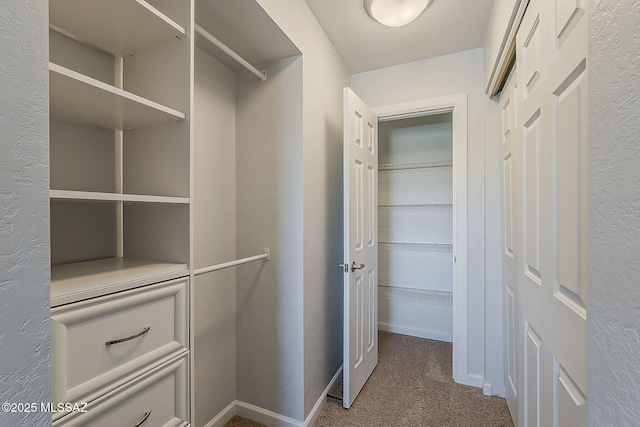 101 S Players Club Dr Unit 11204, Tucson, AZ 85745 - walk in closet featuring carpet