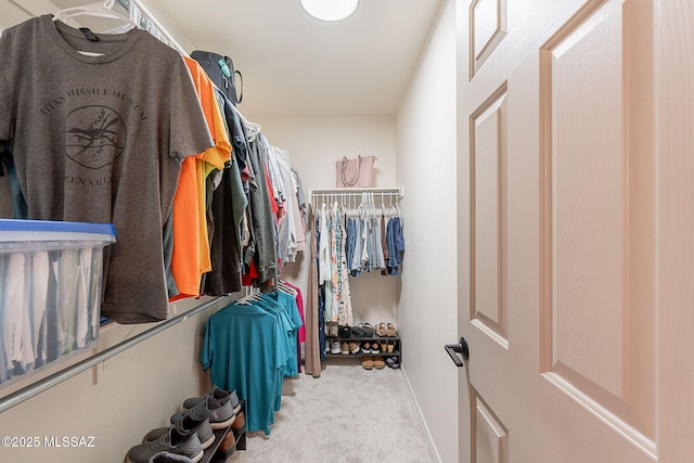 2136 E Desert Fox Dr, Green Valley, AZ 85614 - spacious closet with carpet floors