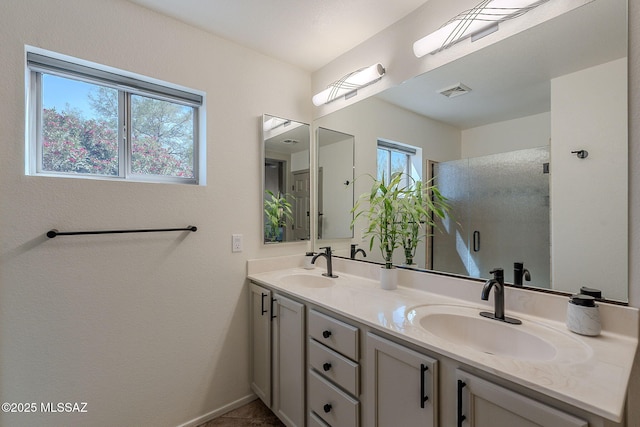 2136 E Desert Fox Dr, Green Valley, AZ 85614 - bathroom with double vanity and a stall shower