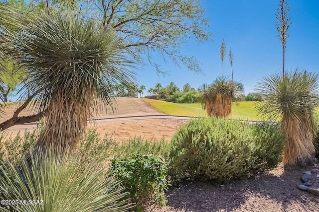 2136 E Desert Fox Dr, Green Valley, AZ 85614 - view of yard