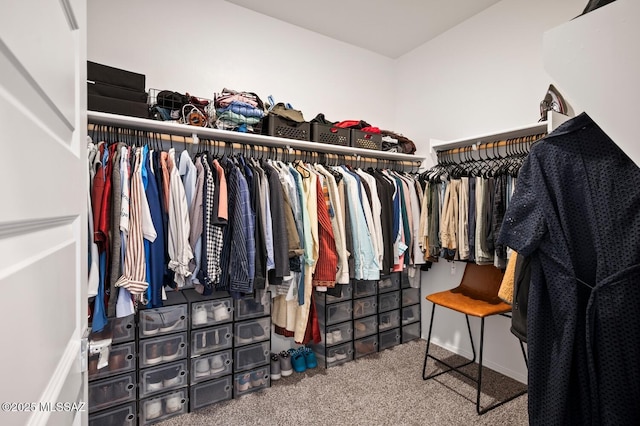 3579 N Kellen Canyon Ct, Tucson, AZ 85745 - spacious closet featuring carpet floors