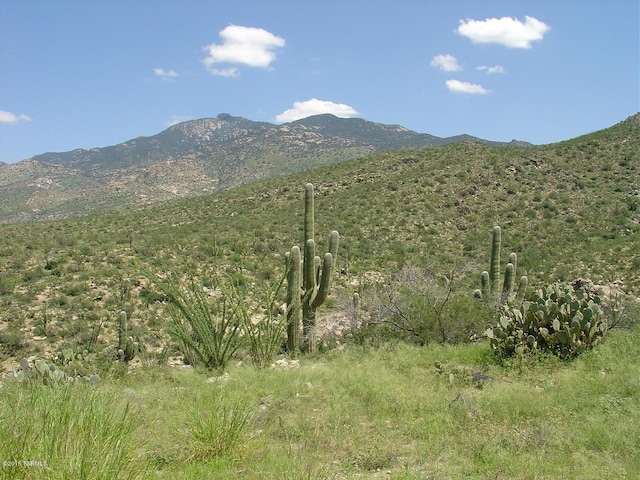 7301 S Red Hill Rd Unit 84, Vail, AZ 85641