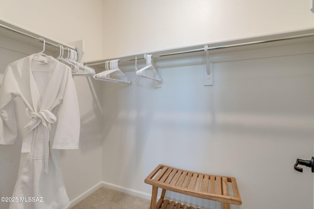 7823 W Buckeye Path, Marana, AZ 85658 - spacious closet with carpet floors