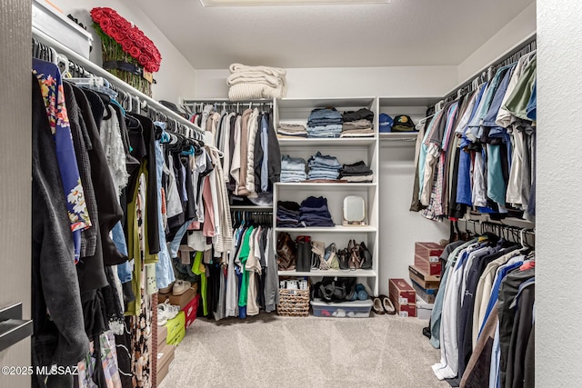 1257 W Calle Libro Del Retrato, Sahuarita, AZ 85629 - spacious closet featuring carpet flooring