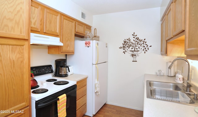 441 W Yucca Ct Unit 209, Tucson, AZ 85704 - kitchen with range with electric stovetop, under cabinet range hood, a sink, light countertops, and light wood-style floors