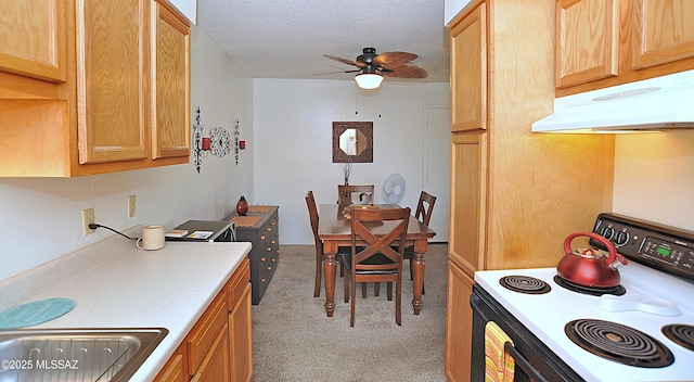 441 W Yucca Ct Unit 209, Tucson, AZ 85704 - dining area with ceiling fan, light carpet, and a textured ceiling