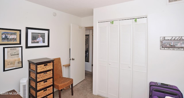 441 W Yucca Ct Unit 209, Tucson, AZ 85704 - bedroom with carpet and a closet