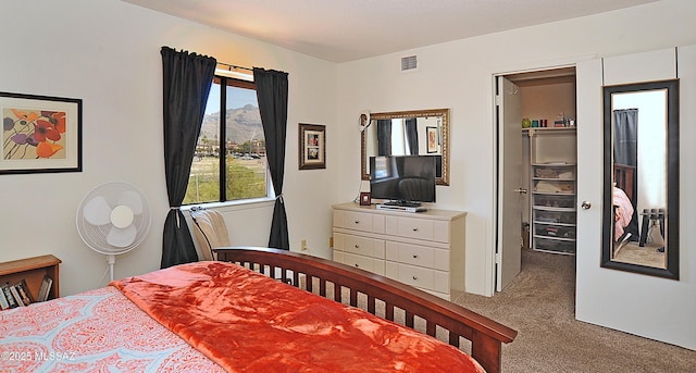 441 W Yucca Ct Unit 209, Tucson, AZ 85704 - view of carpeted bedroom