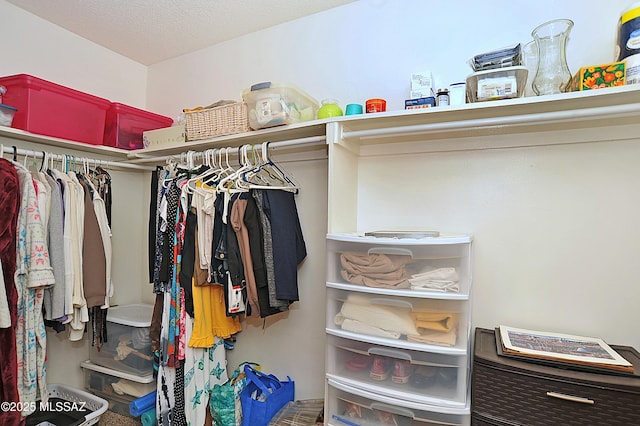 441 W Yucca Ct Unit 209, Tucson, AZ 85704 - view of spacious closet