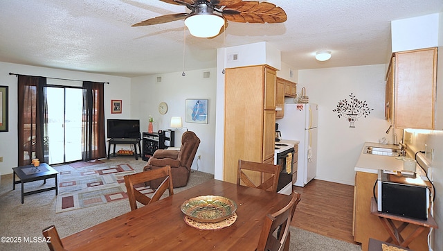 441 W Yucca Ct Unit 209, Tucson, AZ 85704 - dining room featuring a textured ceiling, ceiling fan, and wood finished floors