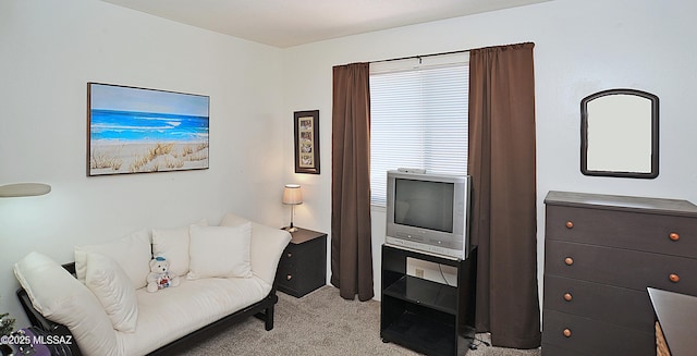 441 W Yucca Ct Unit 209, Tucson, AZ 85704 - living area with light carpet