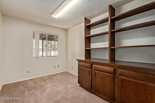 555 E Rudasill Rd, Tucson, AZ 85704 - empty room featuring light carpet, a textured ceiling, and baseboards