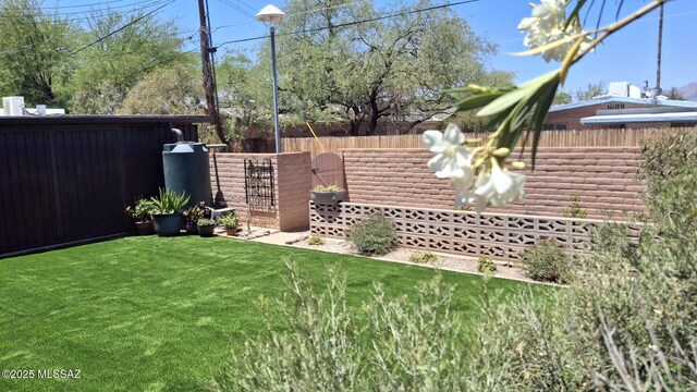 3225 E Elida St, Tucson, AZ 85716 - view of shed