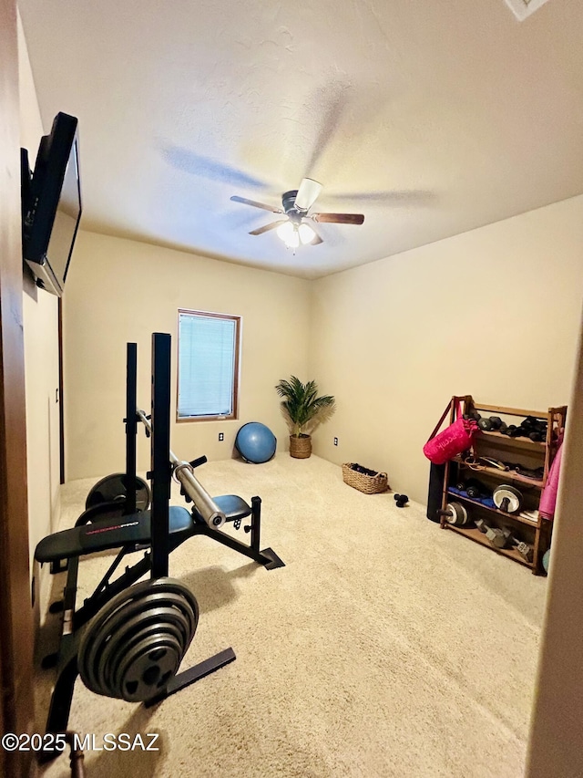 4 Mustang Trl, Sonoita, AZ 85637 - exercise room featuring carpet and a ceiling fan