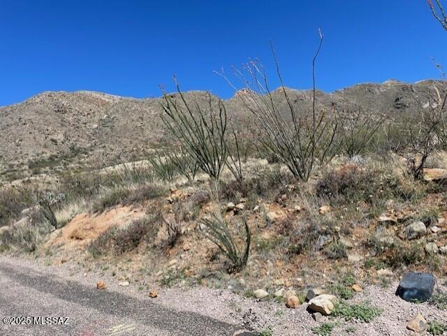 1555 Via San Cayetano Unit 33, Rio Rico, AZ 85648