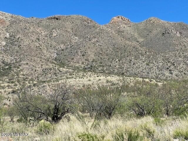 1555 Via San Cayetano Unit 33, Rio Rico, AZ 85648