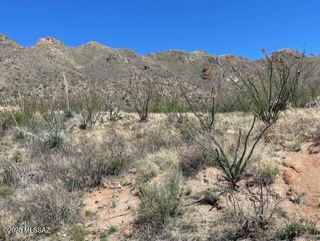 1555 Via San Cayetano Unit 33, Rio Rico, AZ 85648