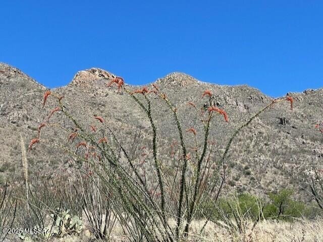1555 Via San Cayetano Unit 33, Rio Rico, AZ 85648