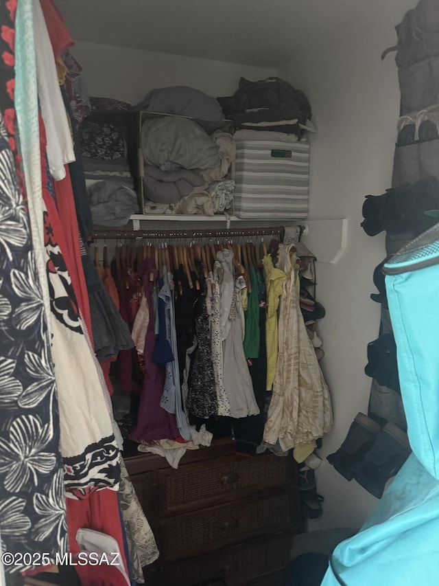 view of spacious closet