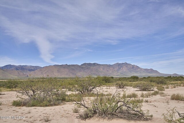9010 E Many Wells Rd Unit 316, Portal, AZ 85632