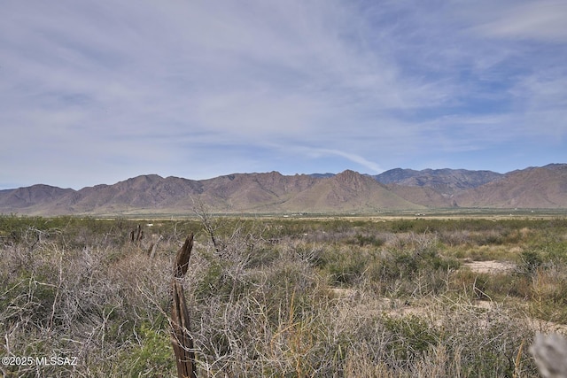 9010 E Many Wells Rd Unit 316, Portal, AZ 85632