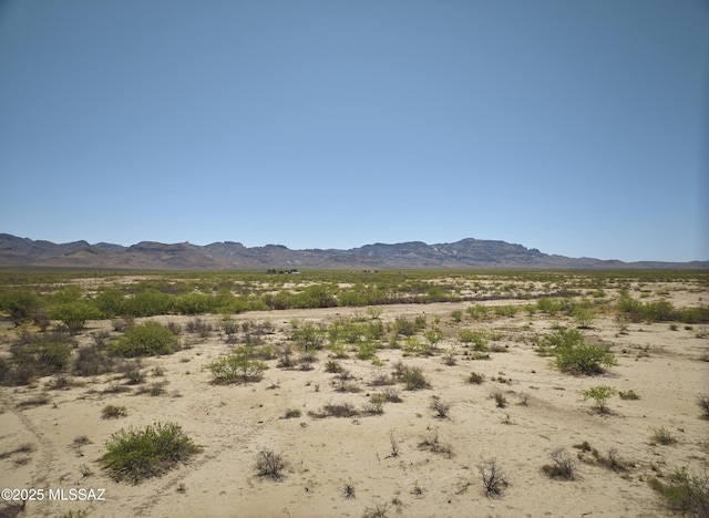 9010 E Many Wells Rd Unit 316, Portal, AZ 85632