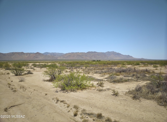 9010 E Many Wells Rd Unit 316, Portal, AZ 85632