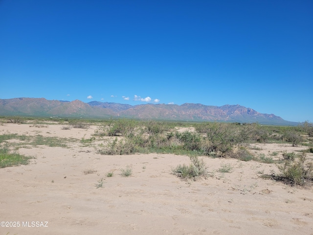 9010 E Many Wells Rd Unit 316, Portal, AZ 85632