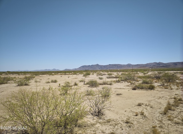 9010 E Many Wells Rd Unit 316, Portal, AZ 85632