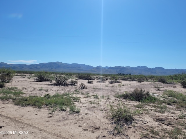 9010 E Many Wells Rd Unit 316, Portal, AZ 85632