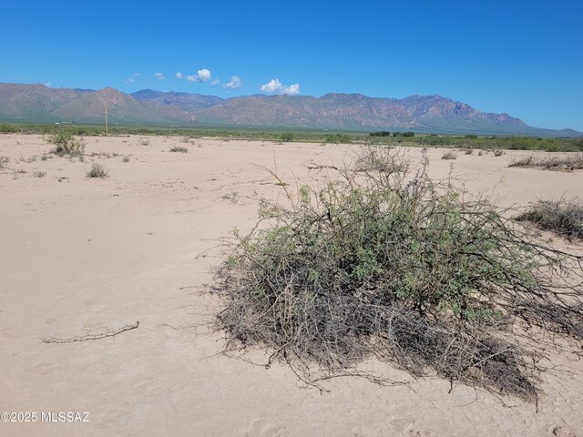 9010 E Many Wells Rd Unit 316, Portal, AZ 85632